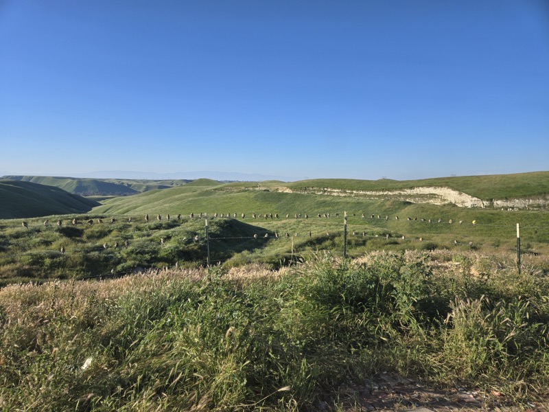 Joseph's Fossil Collection 4